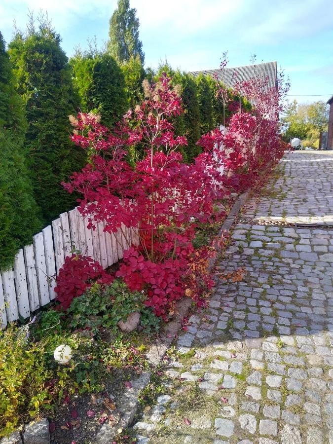 Zajazd Eljan-Centrum Noclegowe Olsztyn  Exteriör bild